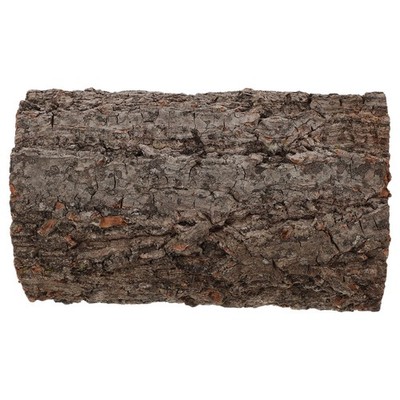 Reptile Hideout Tree Trunk: Spider Hide Shelter Lizard Resting Shelter Tortoise