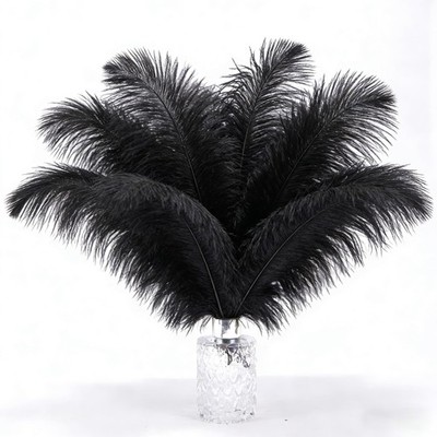 10 PCS 1214 Inch Black Ostrich Feather Natural Bulk Craft Vase Decor