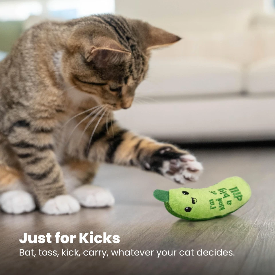 Crunchy Pickle Kicker Dental Catnip Cat Toy - Image 4 of 4