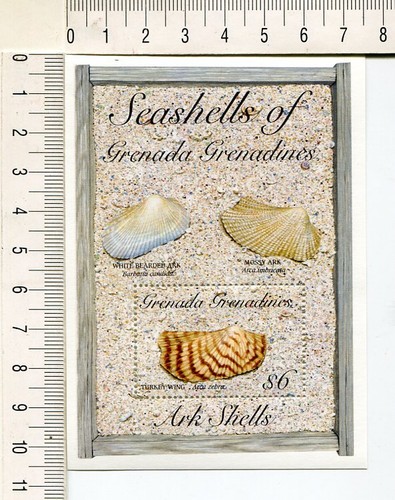 36799) Grenada Gren. 1993 MNH Seashells S/S | eBay