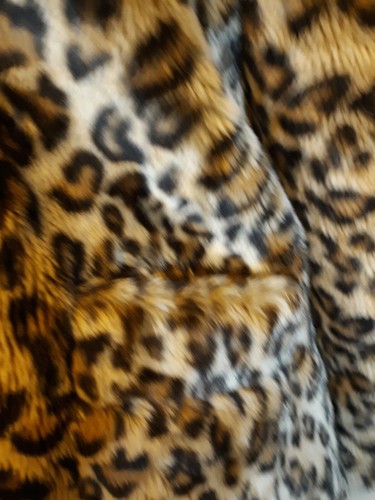 Copper Key Animal leopard Print Jacket Coat Sz 12/14 Lined Soft Brown Black - Picture 5 of 12
