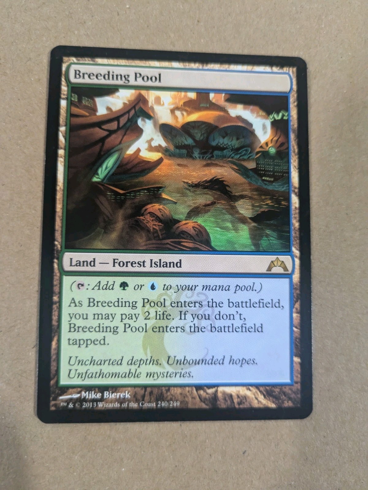 Breeding Pool - MTG - Gatecrash - NM