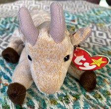 TY Beanie Baby - GOATEE the Goat 6 inch 1999 boxS 