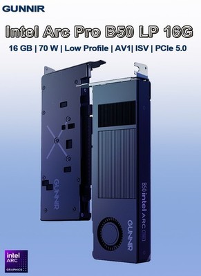 GUNNIR Intel Arc Pro B50 16G Low Profile Graphics Card, Single Slot 16GB GDDR6
