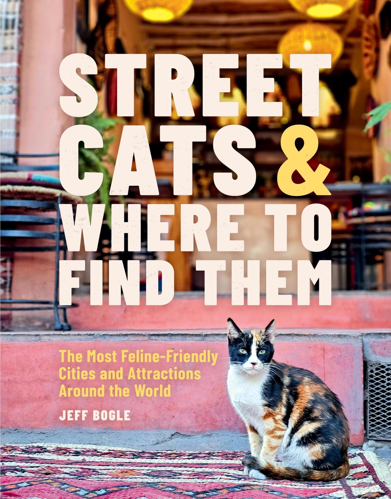 Street Cats & Where to Find Them by Jeff Bogle (Hardback Book) - Image 7