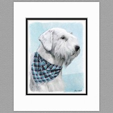 Sealyham Terrier Dog Original Art Print 8x10 Matted to 11x14