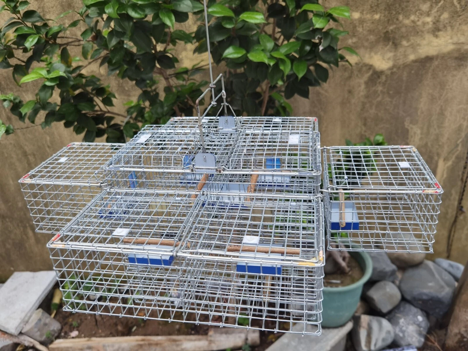 1Set 5PcsBirdcage Repeating Trap Cage Hunting Escaped bird cage Birds Catch