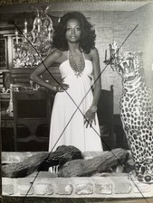 DIANA ROSS Rare Original Press Photo by LANGDON DATED 18 JUL 1973