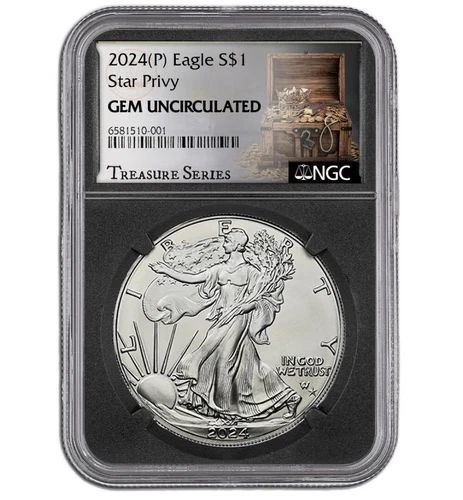 2024 U.S. Eagle Star Privy 1 oz Silver Coin NGC GEM UNC Treasure Series