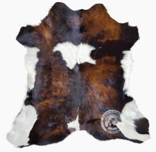 Real Calfskin Rug Tricolor Exotic - Small Cowhide Rug - Size 3 x 3'