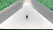 Genuine Omega Crown 63003 Gold NOS