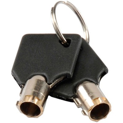 Global Industrial Replacement Keys (2) for Inter Office Mailboxes (443490