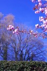 Bild 8 von 20