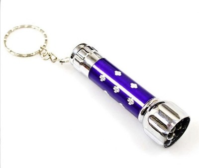 Mini LED Camping Taschenlampe Taschenlampe Schlüsselanhänger tragbar Schlüsselanhänger ultrahell UK