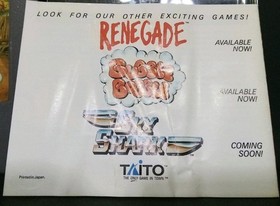 Nes Lot of 4. All With Manuals. Pac Man, Top Gun. Casino Kid. Bid Starts At $1