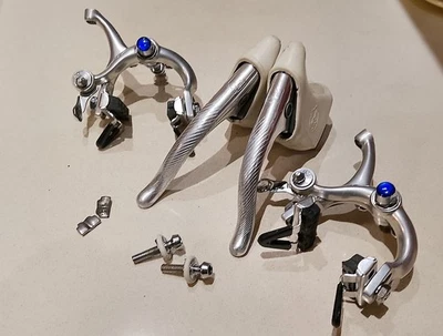Kit Pastiglie Freno Campagnolo (2 Pezzi) Con Perno E Molla – Ricambio Originale Per Biciclette Da Corsa E Gravel, Alta Gamma