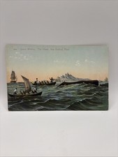 Vintage Postcard Sperm Whaling, “The Chase”, New Bedford Massachusetts, MA
