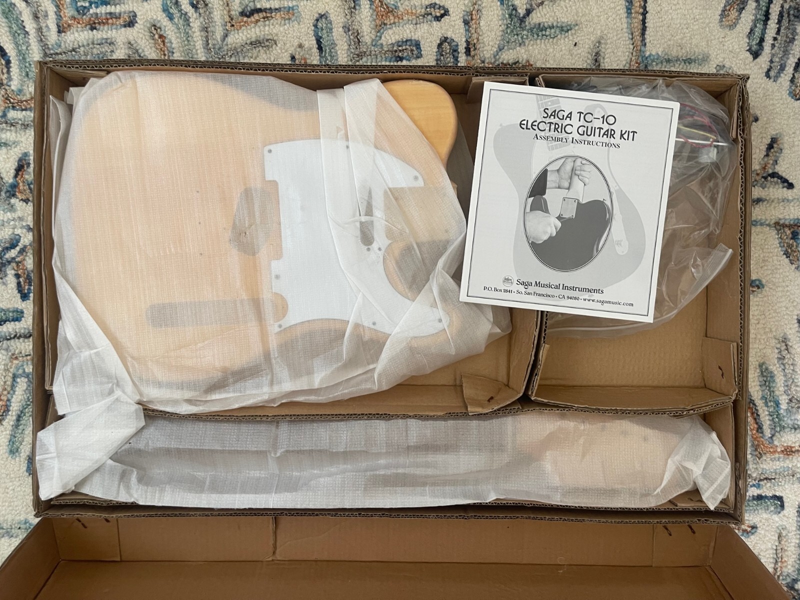 Saga TC10 Electric Guitar Kit DIY eBay