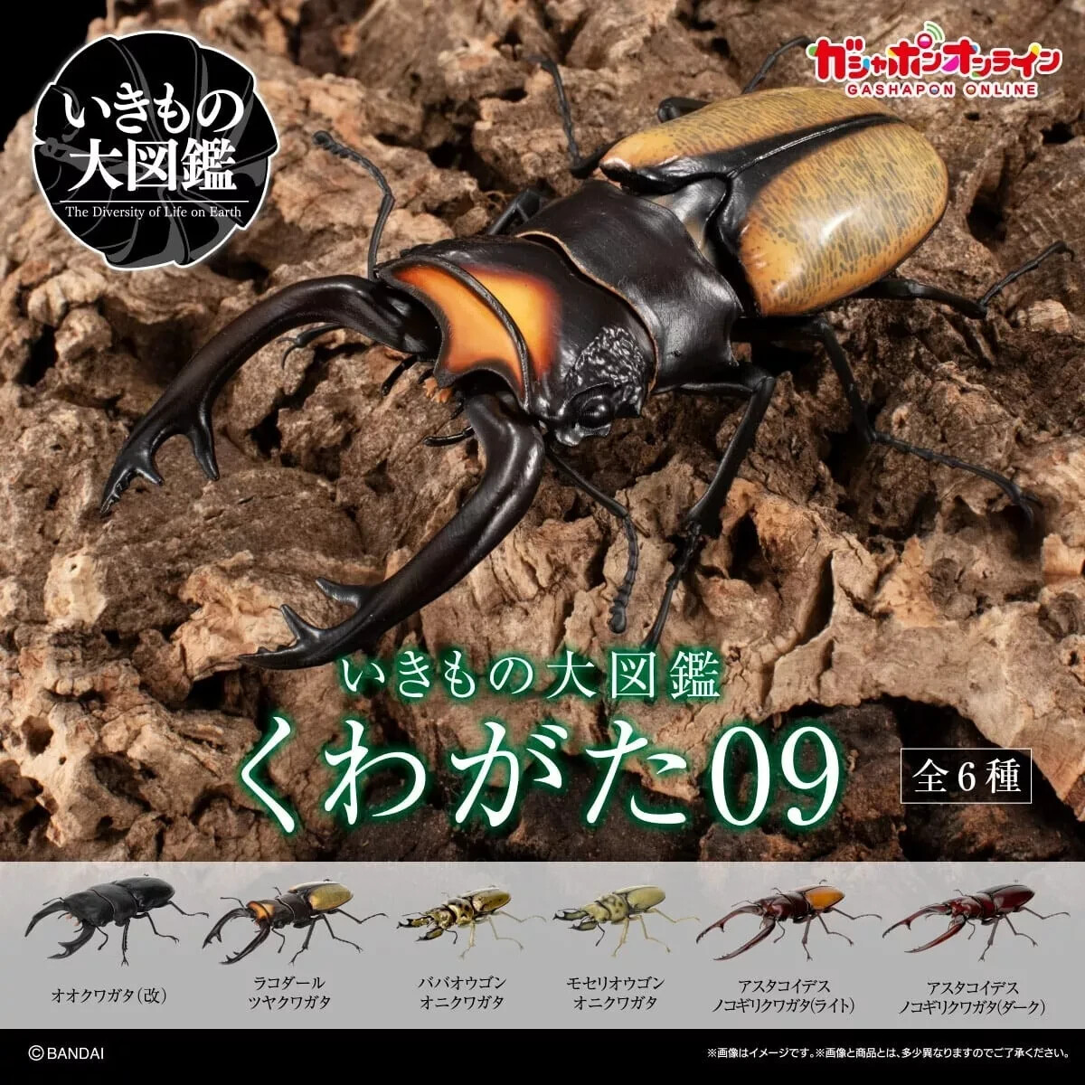 The Diversity of Life on Earth Stag Beetle 09 Figure Bandai