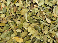 Bearberry Leaf Uva Ursi Dried Herb Organic Herbal Tea - Arctostaphylos uva-ursi