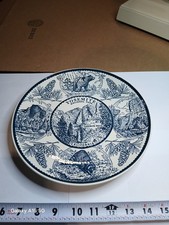 Vintage 1960's Enco Yosemite Ntn'l Park 10" Ironstone Transfer-ware Plate USA