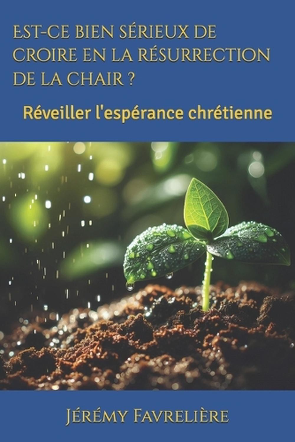 Est-ce bien srieux de croire en la rsurrection de la chair ?: R?veiller l'esp?ra-image