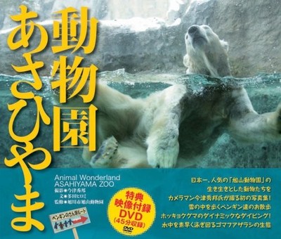 Asahiyama Zoo Fotografie Sammlung