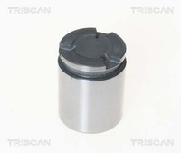 Kolben Bremssattel Triscan 8170 234102 FüR Passat VW Jaguar Audi 3C5 Volvo Seat