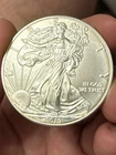 U.S. Mint American Eagle 2019 1 oz Silver Coin .999 Fine