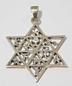 Israel Bible 12 Tribes Silver Pendant Star of David Necklace Hebrew Jewish Charm