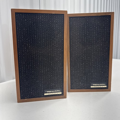 Vintage Realistic (Radio Shack) Minimus 1 Lautsprecher 40-1966 UNGETESTET