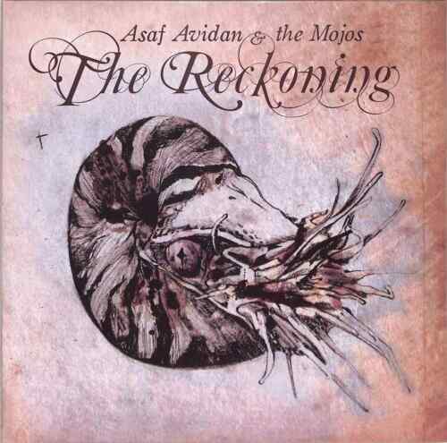 Asaf Avidan / THE RECKONING (LP) / Telmavar Records / TMRLP001-1 / 12 Inch LP - Afbeelding 1 van 2