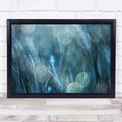Fantastische Natur Gras Bokeh blau Fantasy Weizen Pflanzen Wandkunstdruck