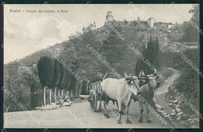 Perugia Assisi Carro Buoi cartolina QZ3044