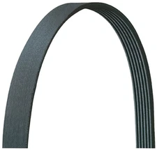 Dayco 5040350DR Serpentine Belt V-Ribbed