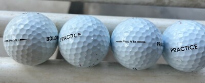 36 Titleist Pro V1 / Pro V1X Practice Golf Balls - White AAA-AAAA