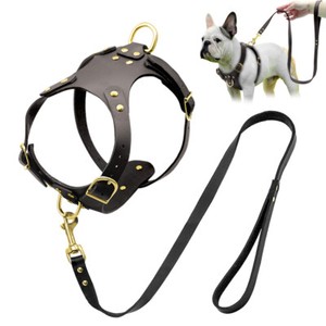 french bulldog harness and lead