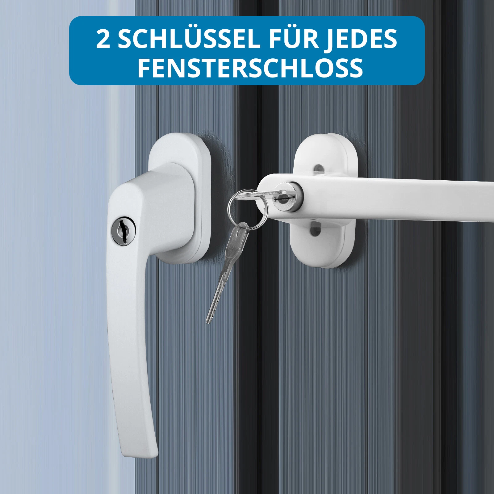 Bild 8 von 11