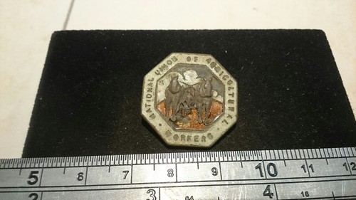 Nice vintage badge L555