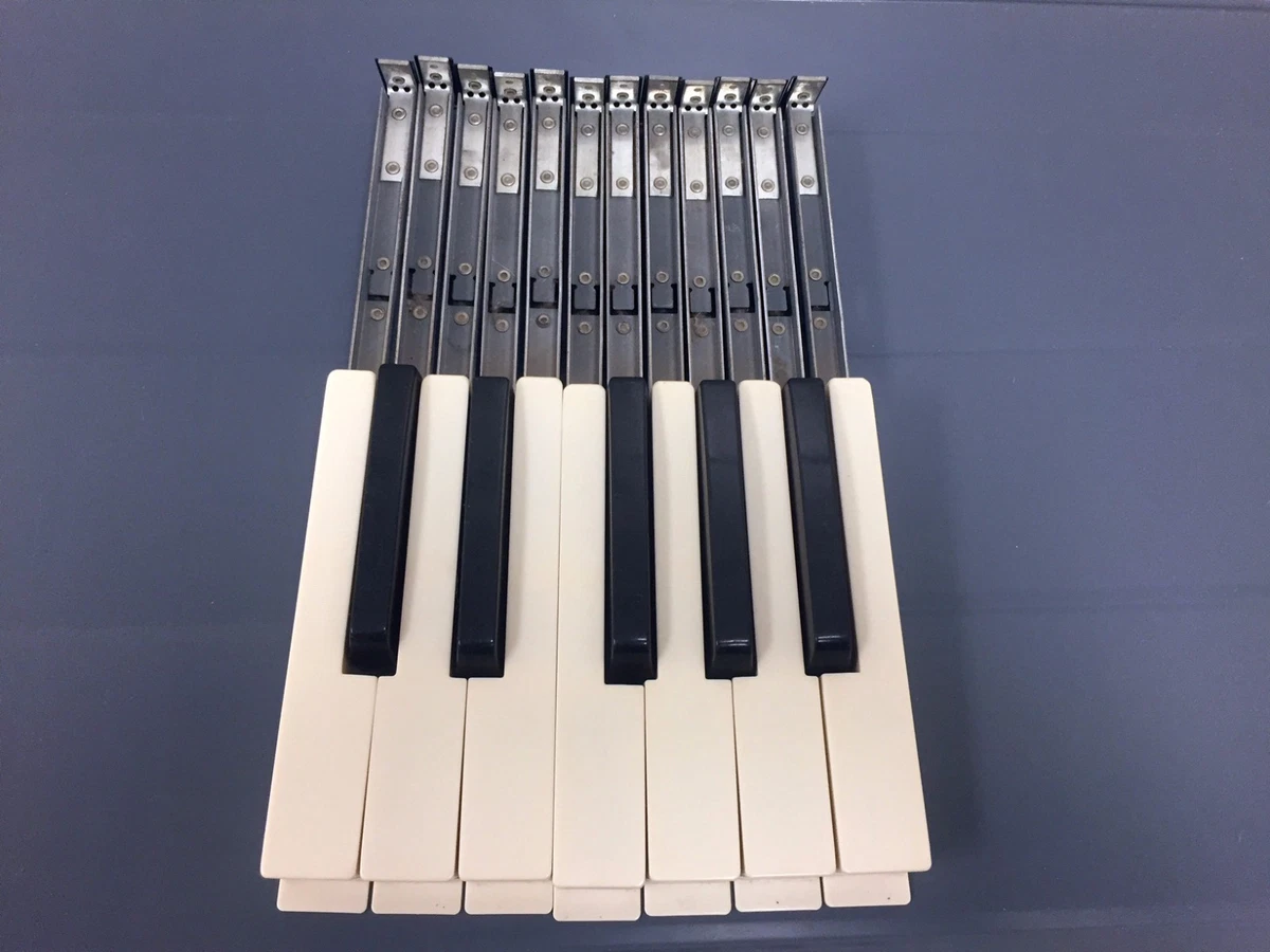 Ebay hammond b3 online