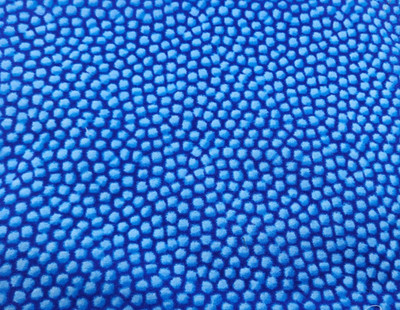 Dinosaur Uproar Fabric by Cheri L. Strole 10741  Blue 2 1/2 Yard