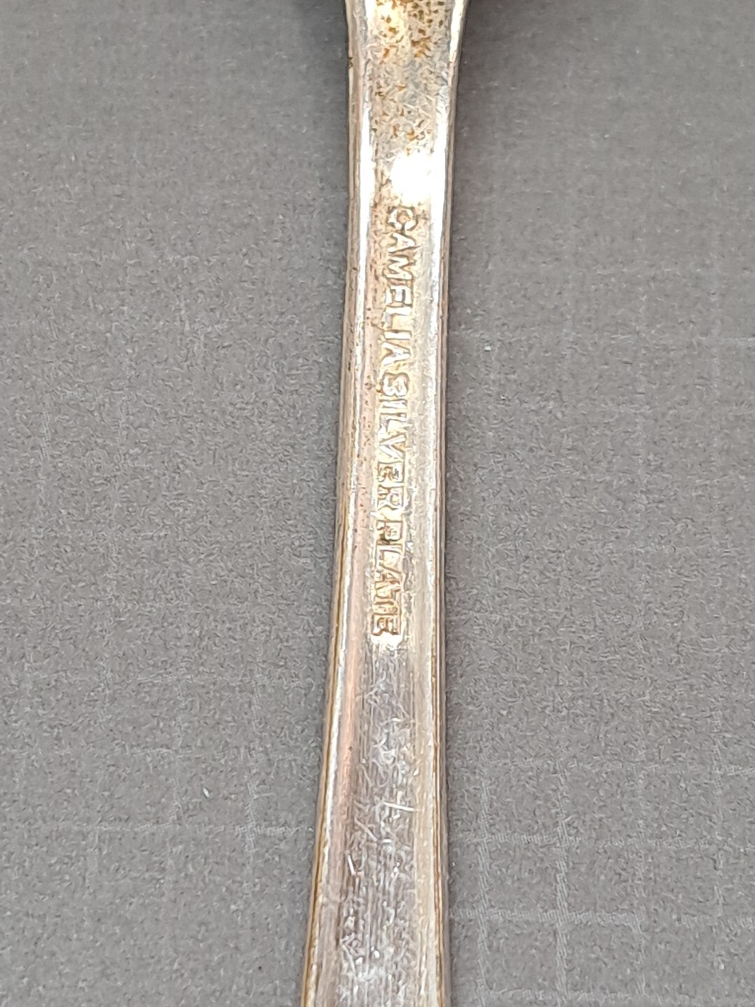 Picture 5 of 24