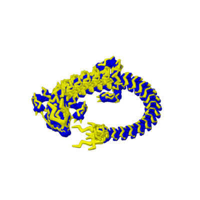 Storm Dragon (CW3D)
