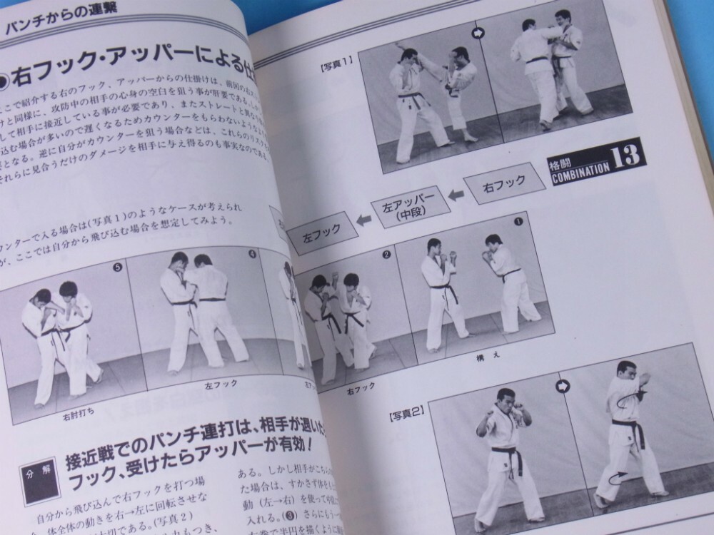 Daido Juku Karate Martial Arts book Takashi Azuma Kudo Daidojuku MMA