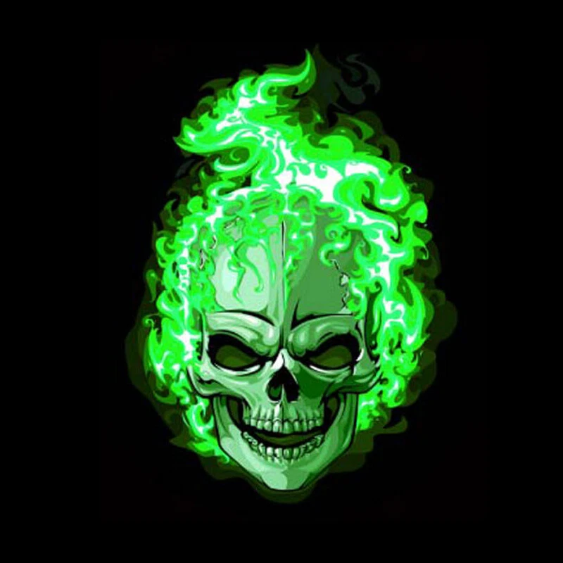 2 Piezas Sensor Infrarrojo Universal Coche LED Verde Calavera Logo Fantasma Láser Puerta Luz Foto 2 de 4