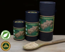 Lion's Mane Mushroom 100% Organic Lions Mane Powder Dietary Supplement Nootropic