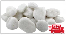 2 to 3 inch Large Snow White Lawn Garden Landscape Pebbles Rocks Stones (30 lbs)
