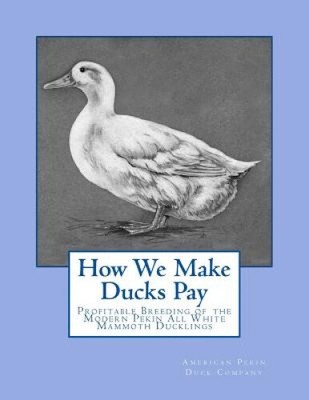 Wie wir Enten bezahlen lassen: Profitable Zucht des modernen Pekin All White