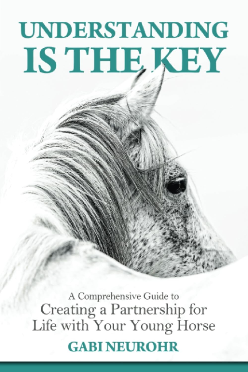 Understanding is the Key: A Comprehensive Guide to Creating a Partnership for L
