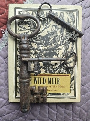 1800s English Chest Key  1 Antique Skeleton Key ~ 200 years old Intricate Guard!